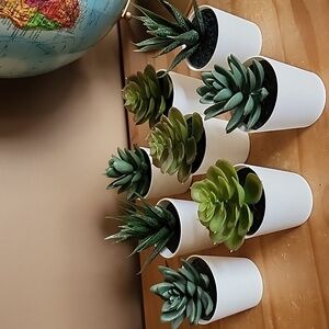 IKEA Artificial succulent lot set of 8